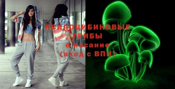 apvp Вязники